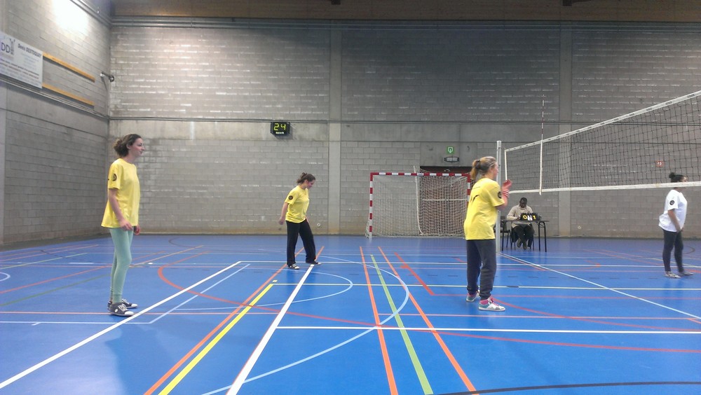 Inter-écoles-volley-140215-03